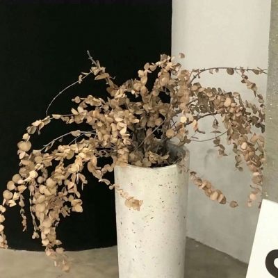 兽设节日场景创作Furry群